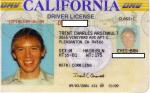 Trent's current driver license