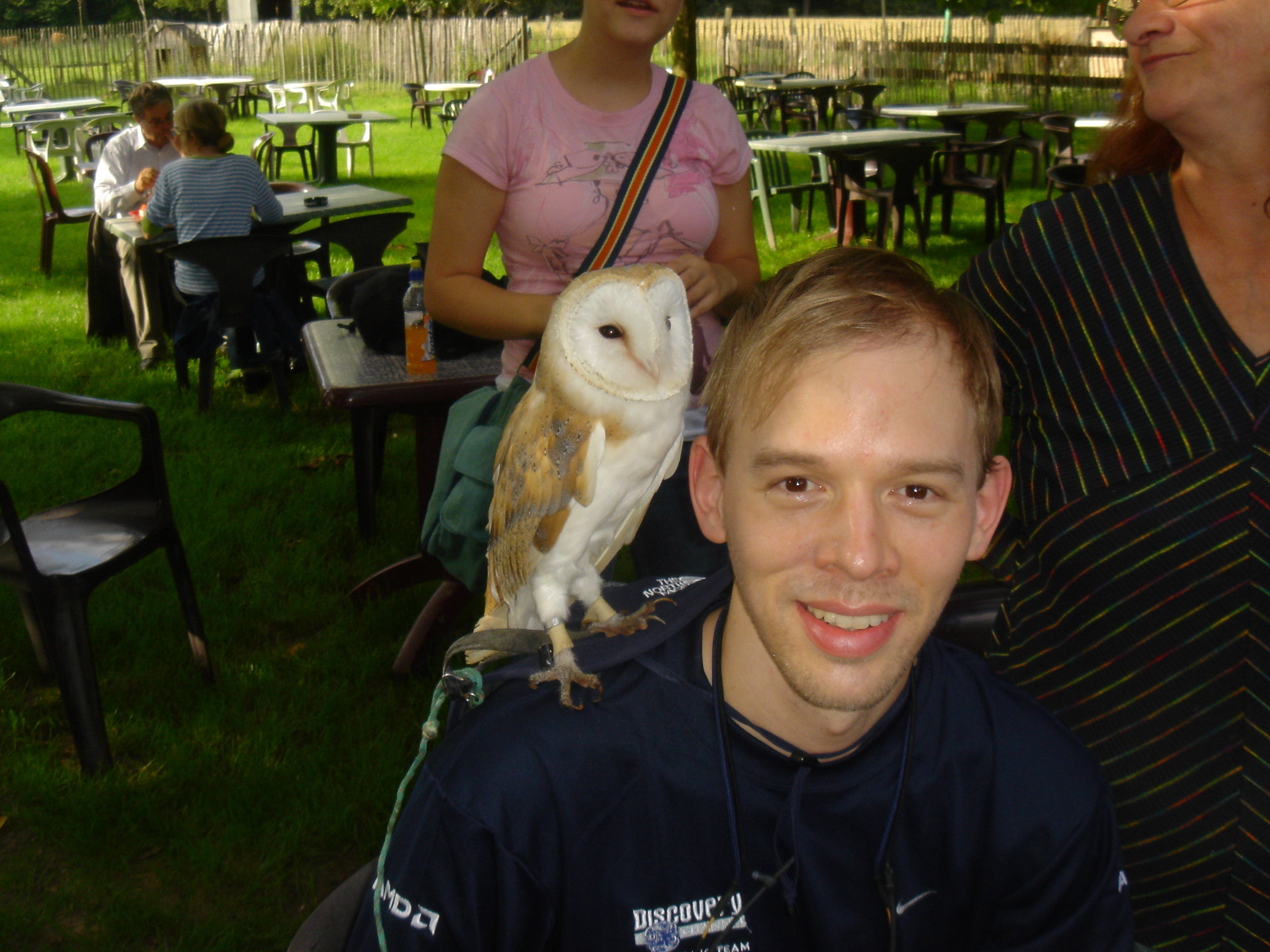 Castle Gaasbeek - Barn Owl - Trent